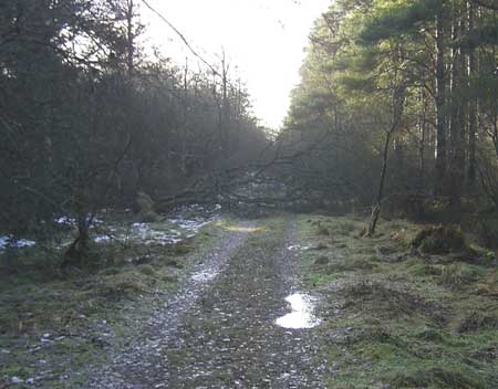 Roman road on the Gask Ridge