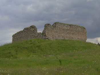Castle Roy