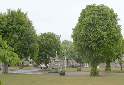 Village Green, Tomintoul